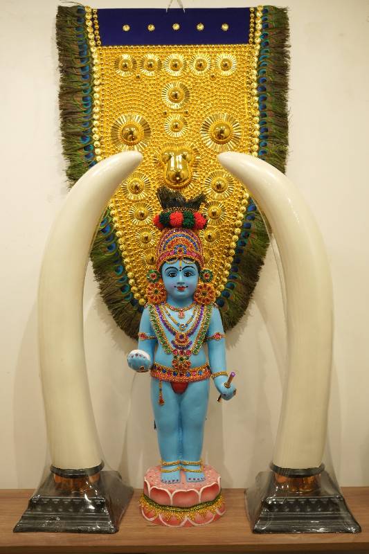 Blue Usha pooja krishnan & Aanakombu Combo (Elephant Tusk)