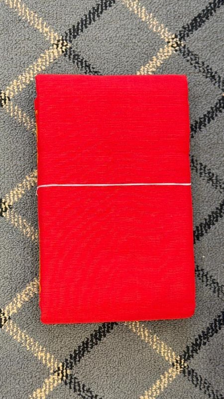 Dance Practice Saree with Thread work model 1