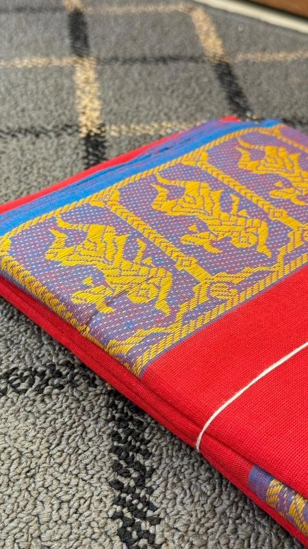 Dance Practice Saree with Thread work model 2