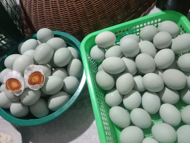 Telur Bebek Asin " SPR"