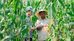 Jasa Pelatihan Pertanian
