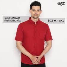 Baju Kemeja Polo