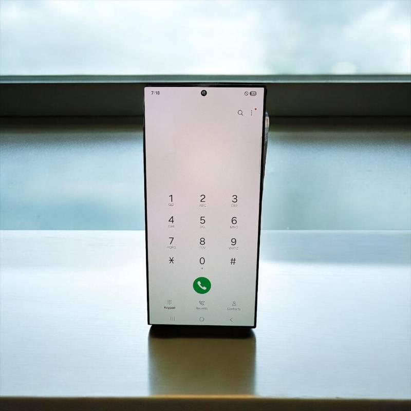 Display Samsung S24 Ultra (Without Frame)