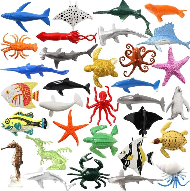 Assorted Ocean Creatures