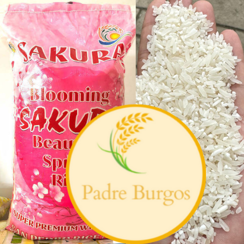 Wholesale Sakura Japanese Rice
