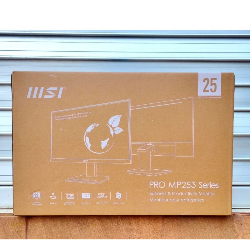 MSI PRO MP253 Monitor