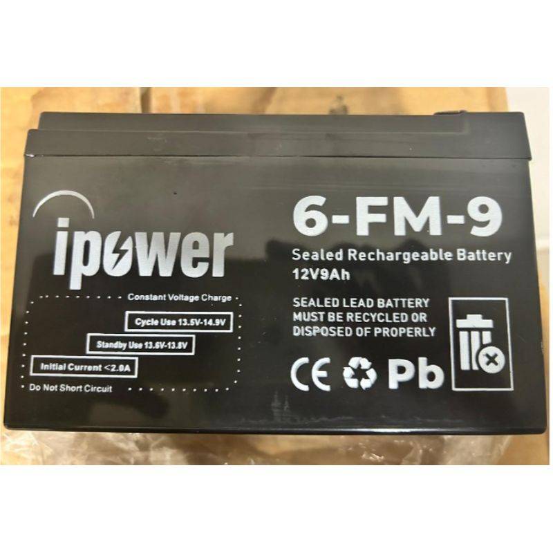 UPS Battery