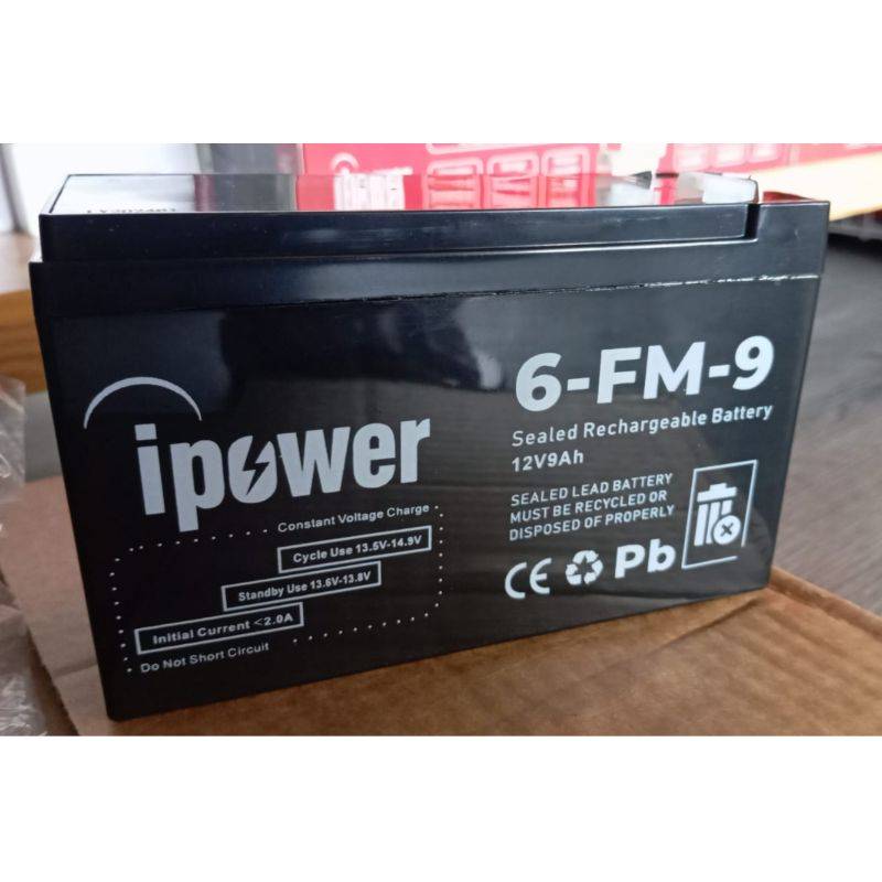 UPS Battery