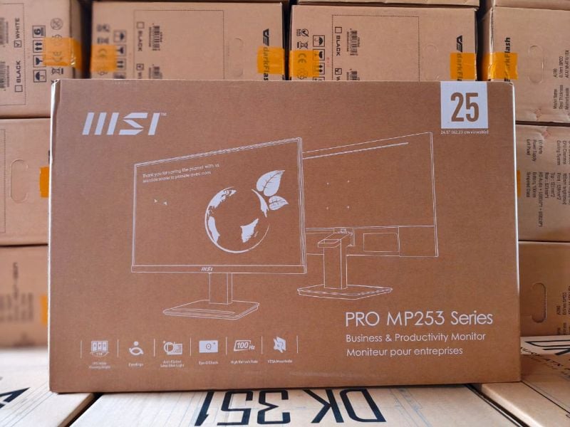 MSI PRO MP253 Monitor