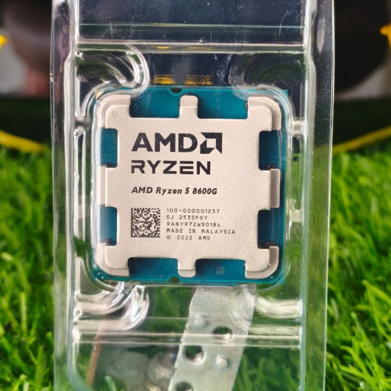 AMD Ryzen 5 8600G Processor