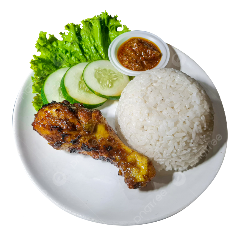 Nasi Ayam Paha Bawah Ketumbar