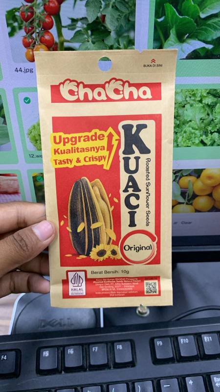 Kuaci