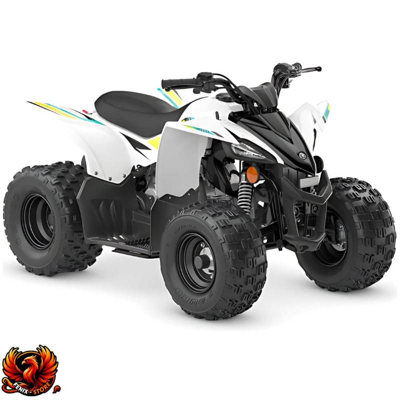 YFZ-50 4T
