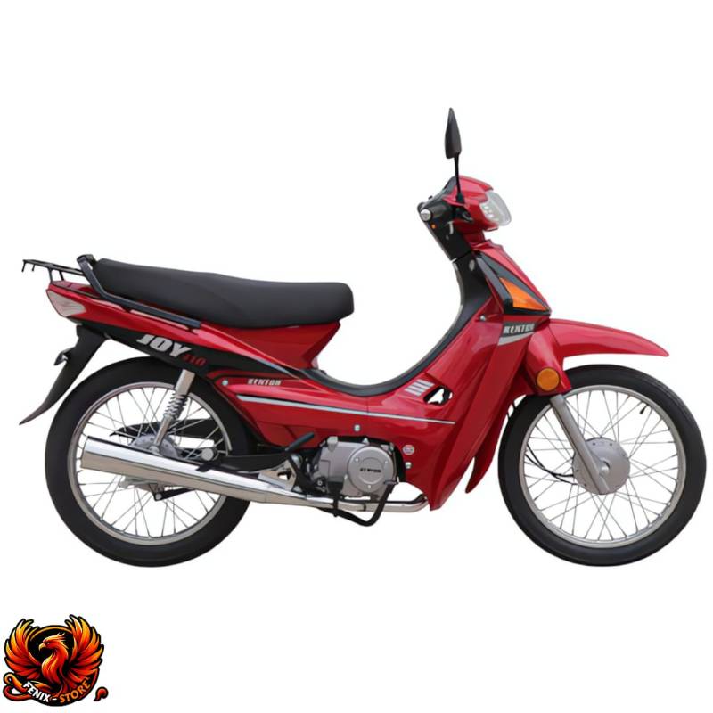 JOY 110
