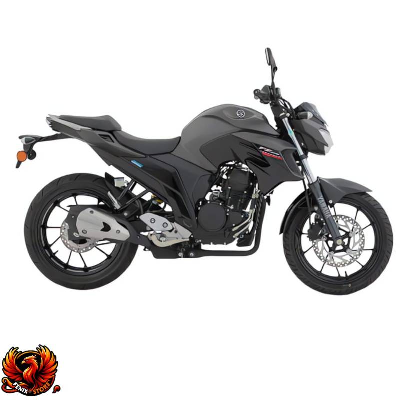 FZ - 25