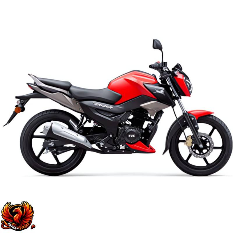TVS RAIDER 125