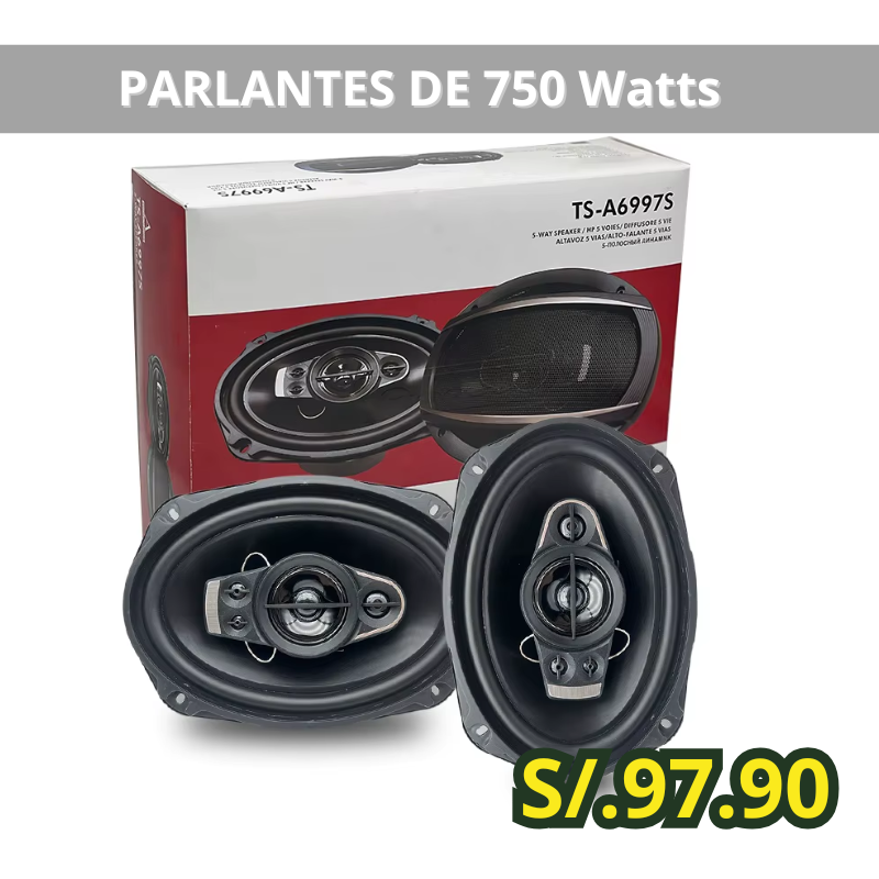PARLANTES DE 750 Watts