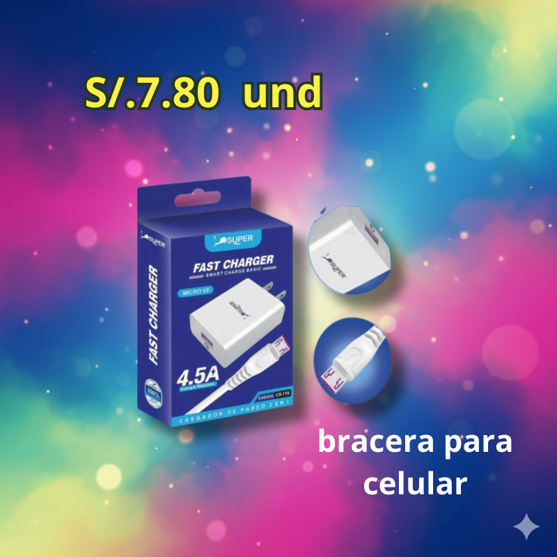 Cargador Fast charger