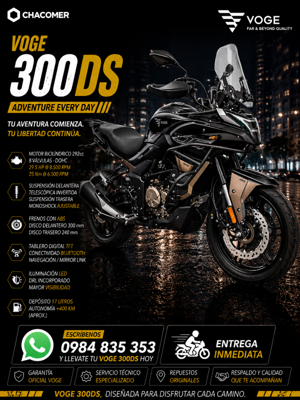DS300