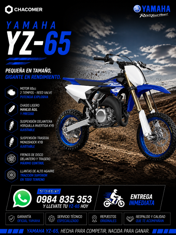 YZ - 65