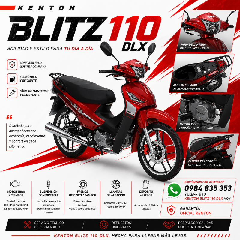 NEW BLITZ 110 DLX