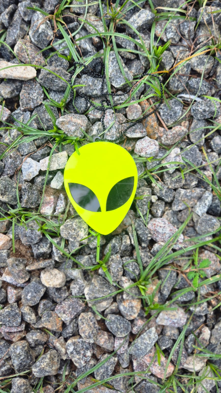 Car hanging Alien