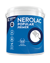 POPULAR PRIMER