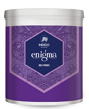ENIGMA INEX PRIMER