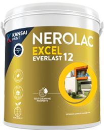 EVERLAST 12