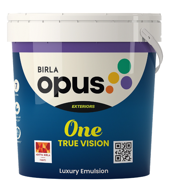 ONE TRUE VISION
