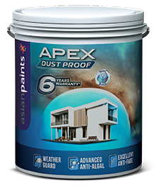 APEX