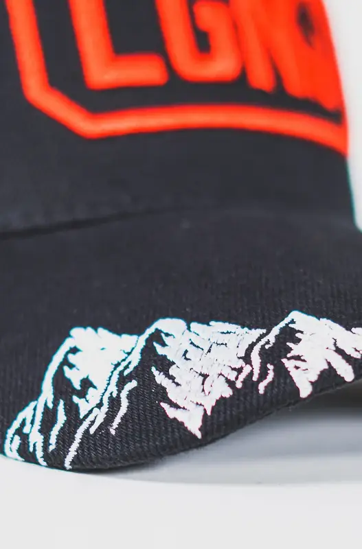 Gorra Manifesto LGND