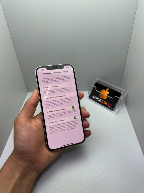 IPHONE 12 PRO MAX