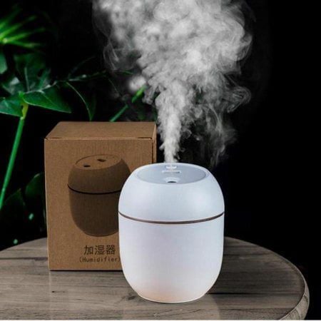 Humidifier battle