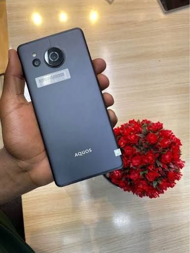 AQUOS SENSE 7 PLUS