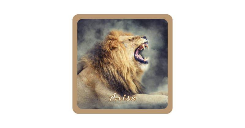 Arise
