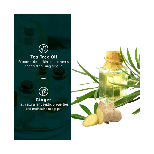 Ustraa – Anti Dandruff Shampoo (250 Ml)