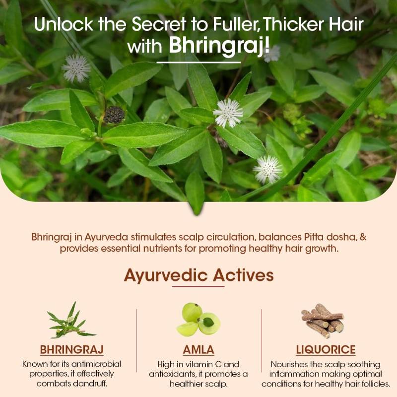 TAC – BHRINGRAJ ANTI-HAIRFALL HAIR OIL (100 ML)
