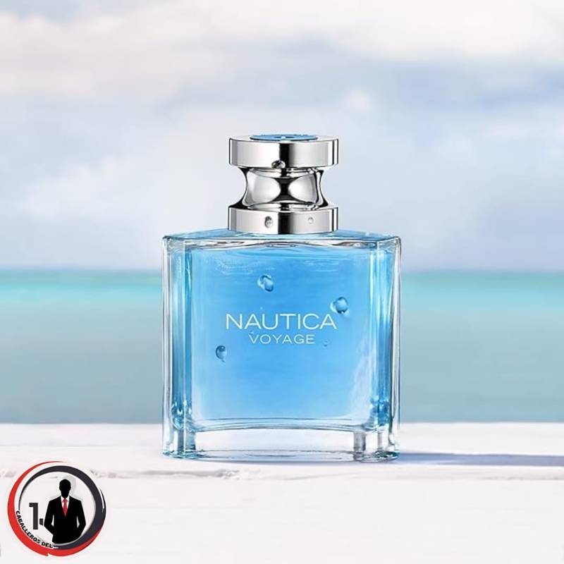 Voyage Eau De Toilette para hombre, fresco, romántico, aroma afrutado, notas acuáticas de manzana, loto de agua, madera de cedro y almizcle, ideal para el día, 3.3 onzas líquidas