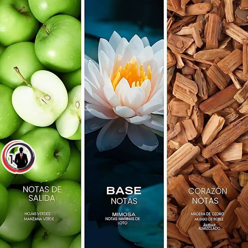 Voyage Eau De Toilette para hombre, fresco, romántico, aroma afrutado, notas acuáticas de manzana, loto de agua, madera de cedro y almizcle, ideal para el día, 3.3 onzas líquidas