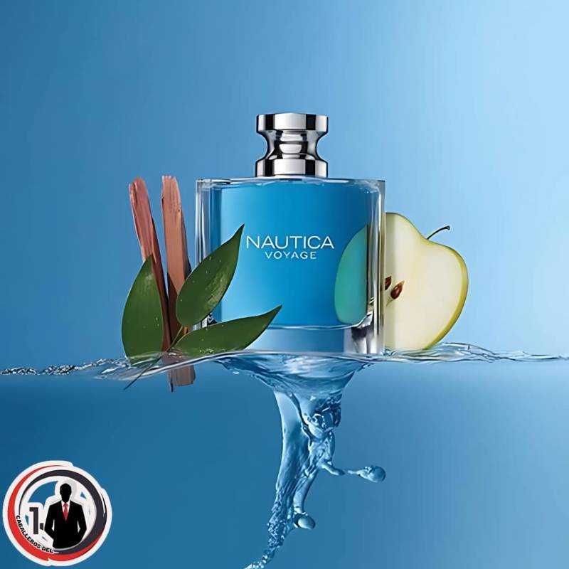 Voyage Eau De Toilette para hombre, fresco, romántico, aroma afrutado, notas acuáticas de manzana, loto de agua, madera de cedro y almizcle, ideal para el día, 3.3 onzas líquidas