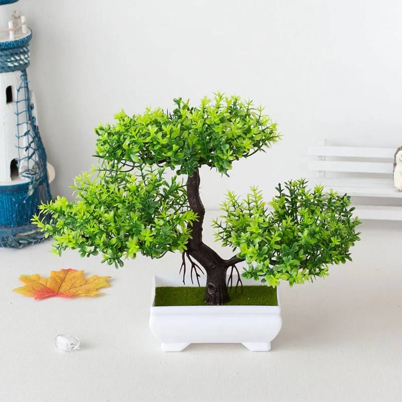 Bonsai Small Tree