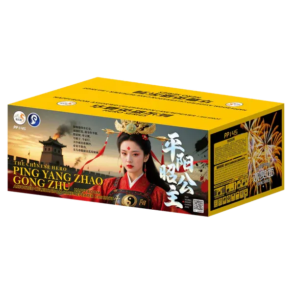 [PS114] 平阳昭公主 - 10''138 V