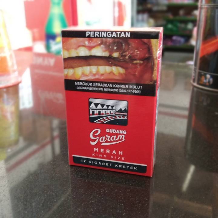 Gudang Garam 12