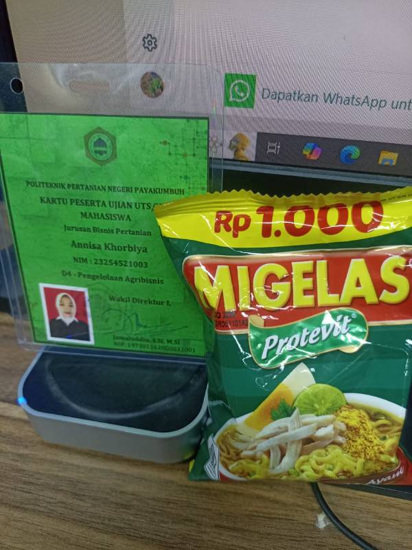 Mie gelas