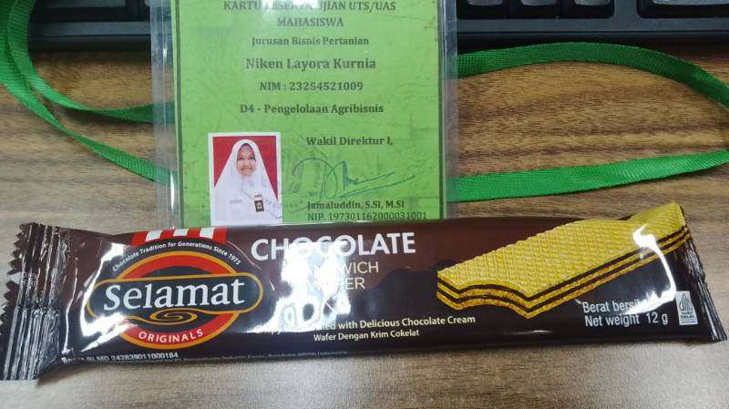 wafer coklat