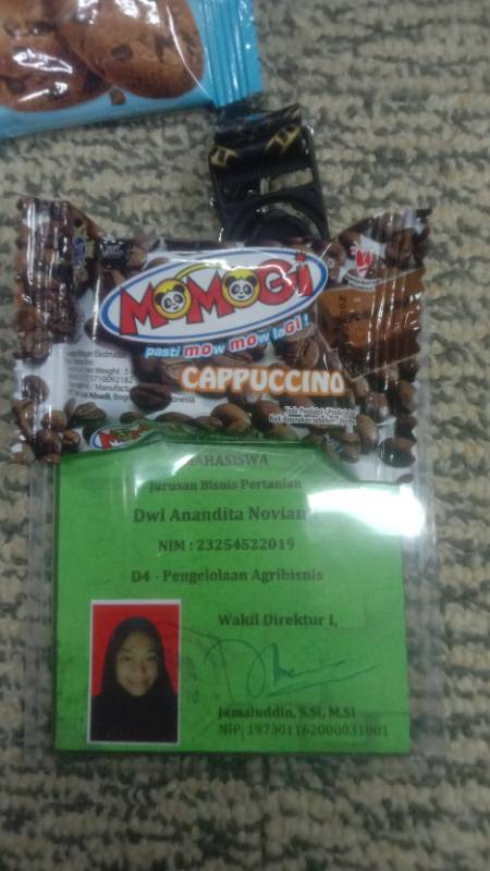 Momogi Coklat