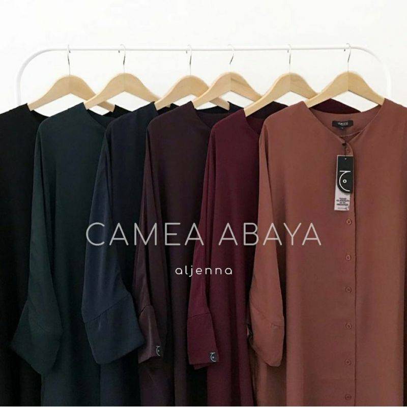Camea Aljena busui frendly