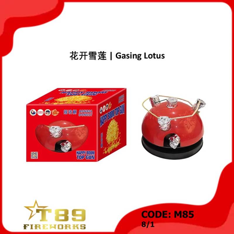 M85 | 花开雪莲 | Gasing Lotus