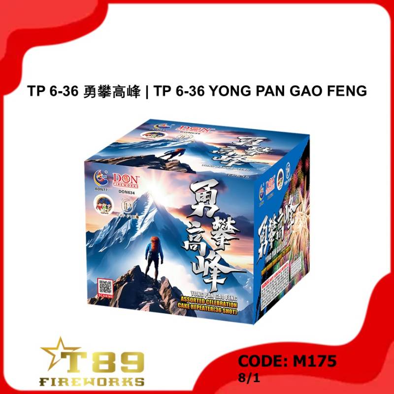 M175 | TP 6-36 勇攀高峰 | TP 6-36 YONG PAN GAO FENG